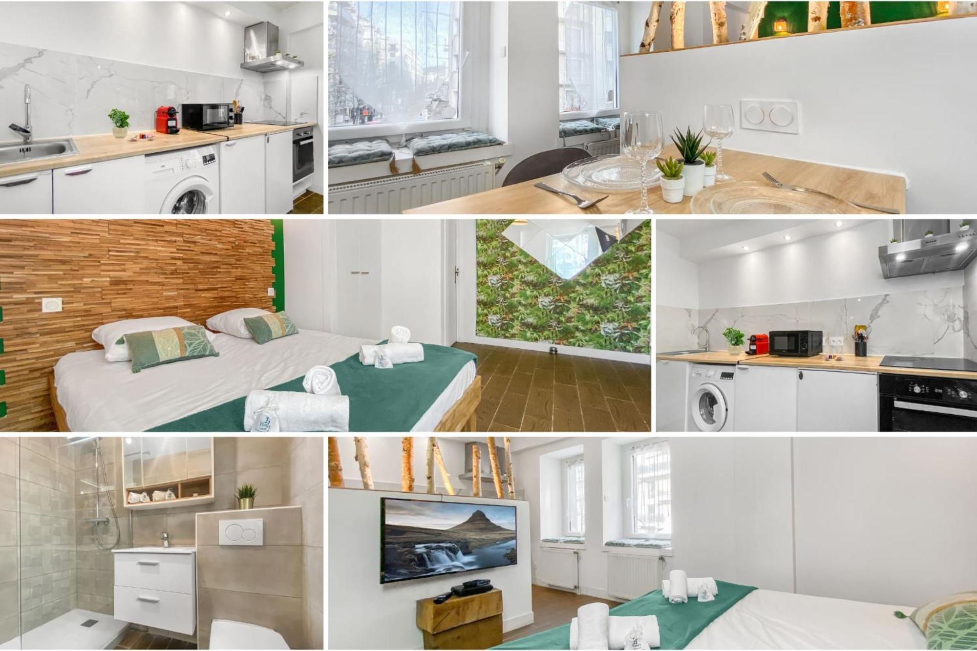 Homey Forest - Hypercentre - Proche Gare Et Tram - Wifi & Netflix Аннемас Экстерьер фото